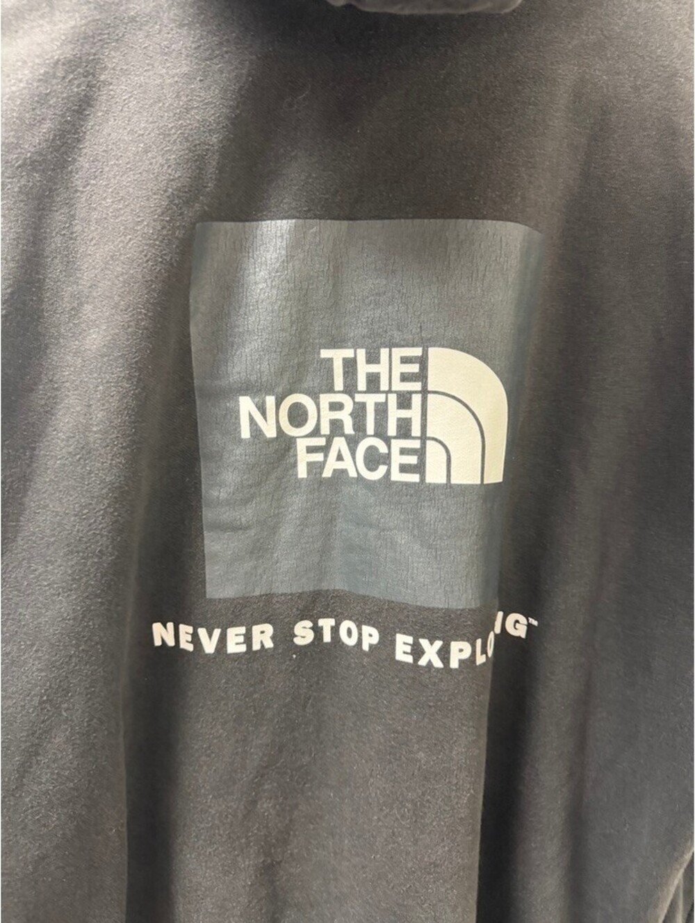 The North Face Never Stop Exploring Black Pullover Hoodie Men's L - Picture 4 of 6